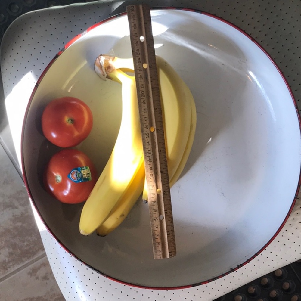 Enamelware BIG 14”X2.75” Bowl Red/White VTG No Chips Inside Tray Just Rim